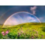 Puzzle Ravensburger Spektakulärer Regenbogen mit 1500 Teilen Ravensburger - 1