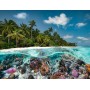Puzzle Ravensburger Das Tauchen auf den Malediven mit 2000 Teilen Ravensburger - 1