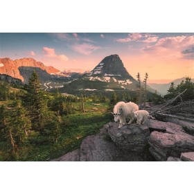 Puzzle Ravensburger Ziege und Zicklein mit 3000 Teilen Ravensburger - 1
