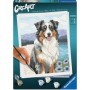 Malen-nach-Zahlen-Set Ravensburger CreArt Australischer Schäferhund Ravensburger - 1