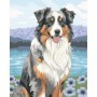 Malen-nach-Zahlen-Set Ravensburger CreArt Australischer Schäferhund Ravensburger - 2