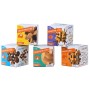 Brain Puzzle Nº 01: Frontallappen - Knobelpuzzle Recent Toys Recent Toys - 3