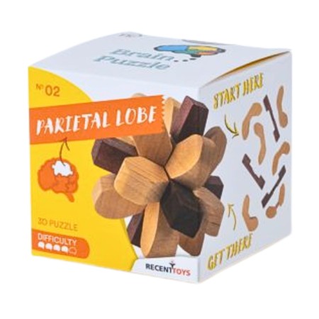 Brain Puzzle Nº 02: Scheitellappen - Puzzle-Rätsel Recent Toys Recent Toys - 1
