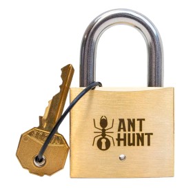 Ant Hunt: Ameisenjagd - PuzzLocks Knobelspiel-Vorhängeschloss PuzzLocks - 1