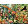Educa Puzzle Vögel des Amazonas mit 2000 Teilen Puzzles Educa - 1