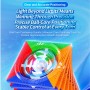 MeiLong 13x13 V3 (Magnetic + Ball-Core) Meilong - 8