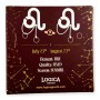 The Zodiac Puzzle - Leo