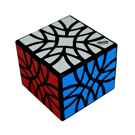 Carls Bubbloid 5x5x4 Calvins Puzzle - 2