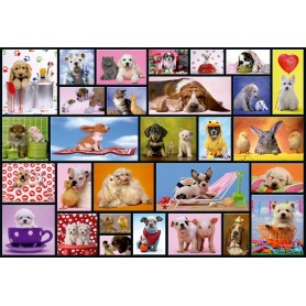 Puzzle Educa Gemeinsame Momente 1000 Teile - Educa Puzzles
